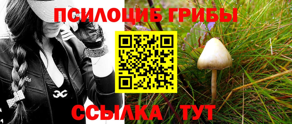 Псилоцибиновые грибы Magic Shrooms  Вход с VPN  Электрогорск 